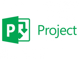 Microsoft Project Plan